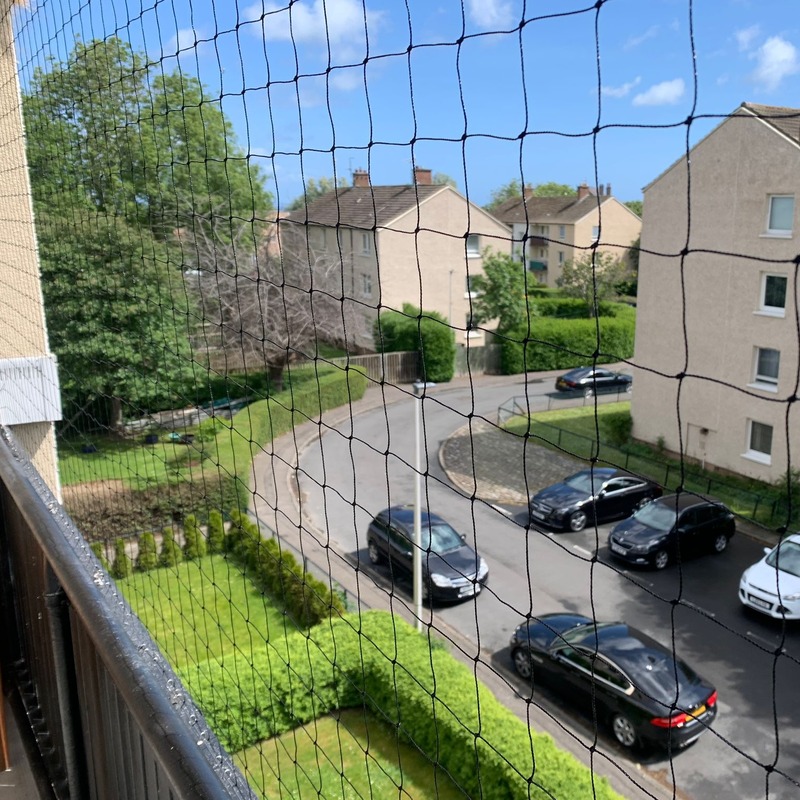Bird netting on a balcony in Edinburgh with a view of the street through the bird mesh