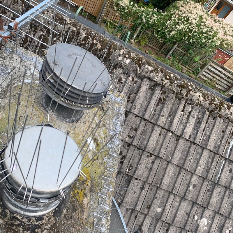 A roof with bird spikes attached 