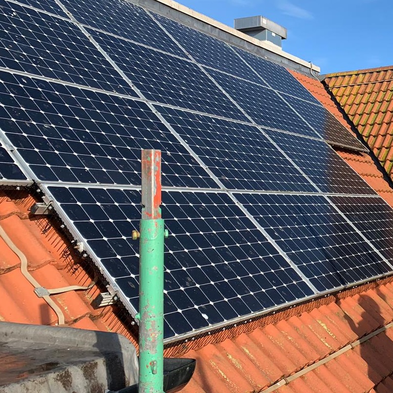 Bird mesh on solar panels